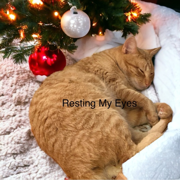 Lomas Ltd Molasses Dickens Village 1993 In Box - Picture 10 of 11